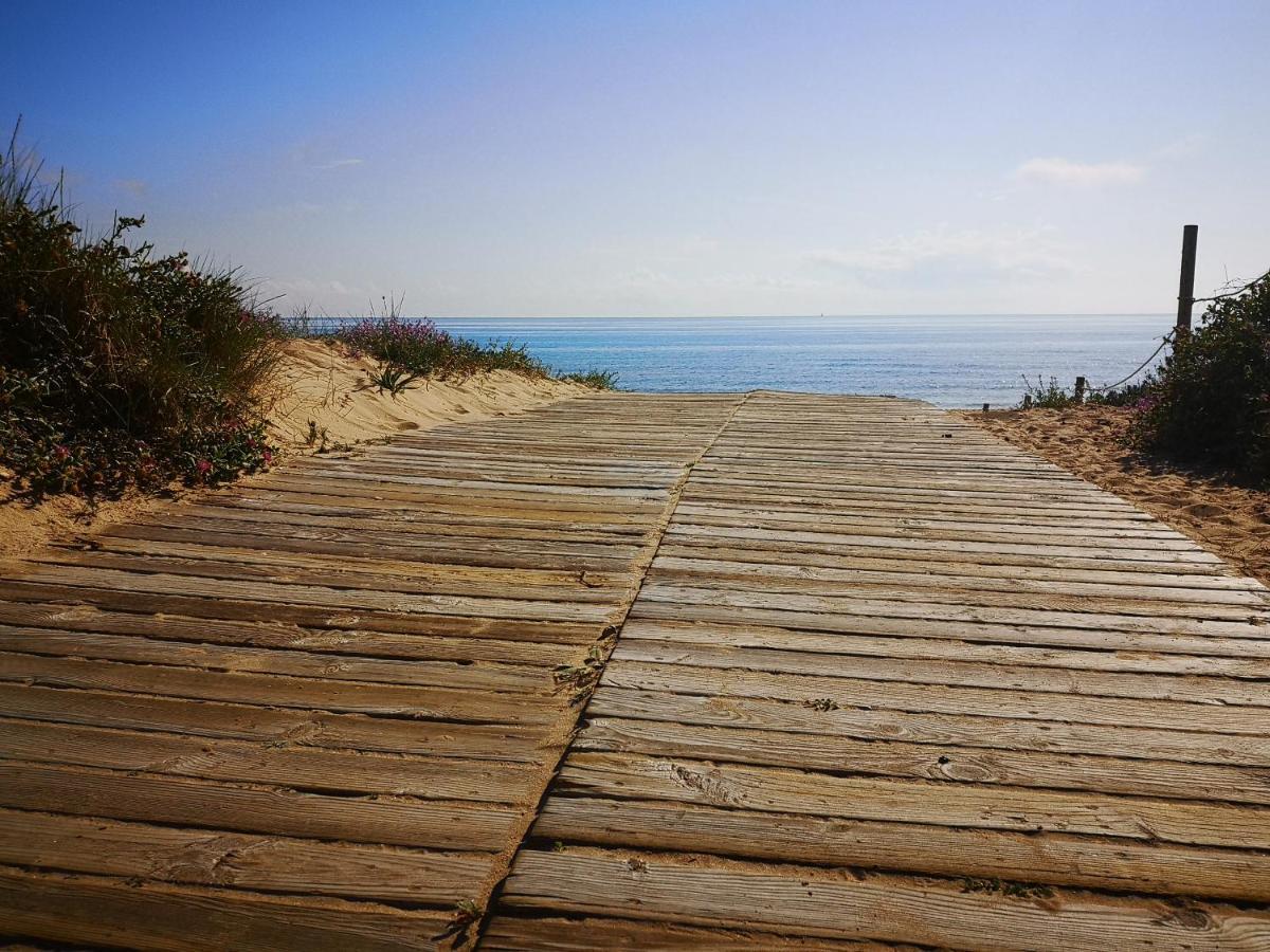 Apartamento Con Vistas Al Mar Oliva Ngoại thất bức ảnh